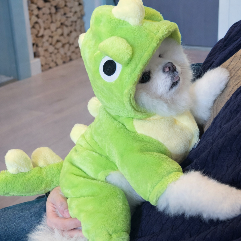 Cozy Dino Pet Costume – Soft Green Dinosaur Outfit for Cats & Small Dogs