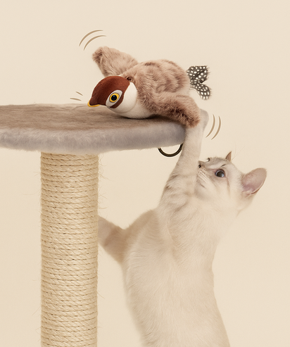 PawsyGram™ Premium Mr. Flappy