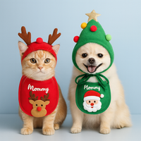 PawsyGram™ FurClaus Hat